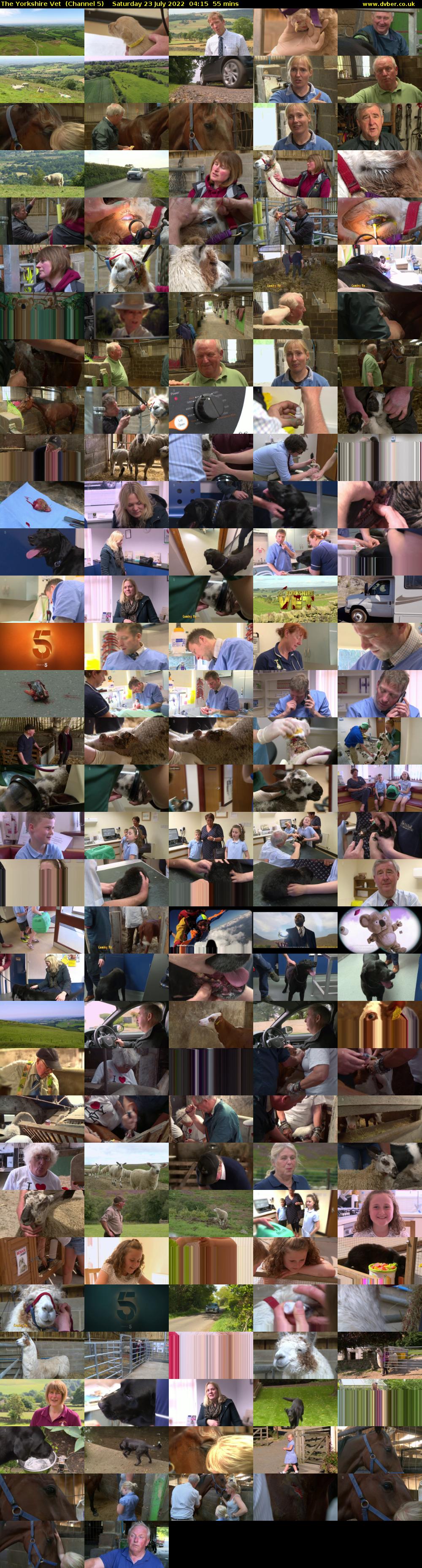 The Yorkshire Vet  (Channel 5) Saturday 23 July 2022 04:15 - 05:10