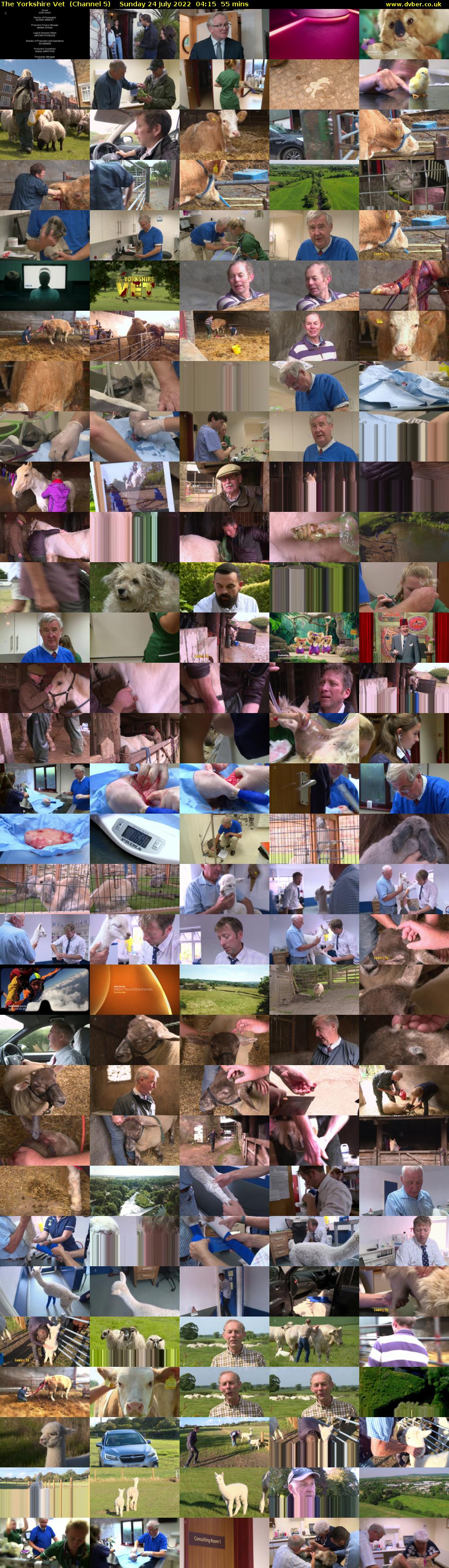 The Yorkshire Vet  (Channel 5) Sunday 24 July 2022 04:15 - 05:10