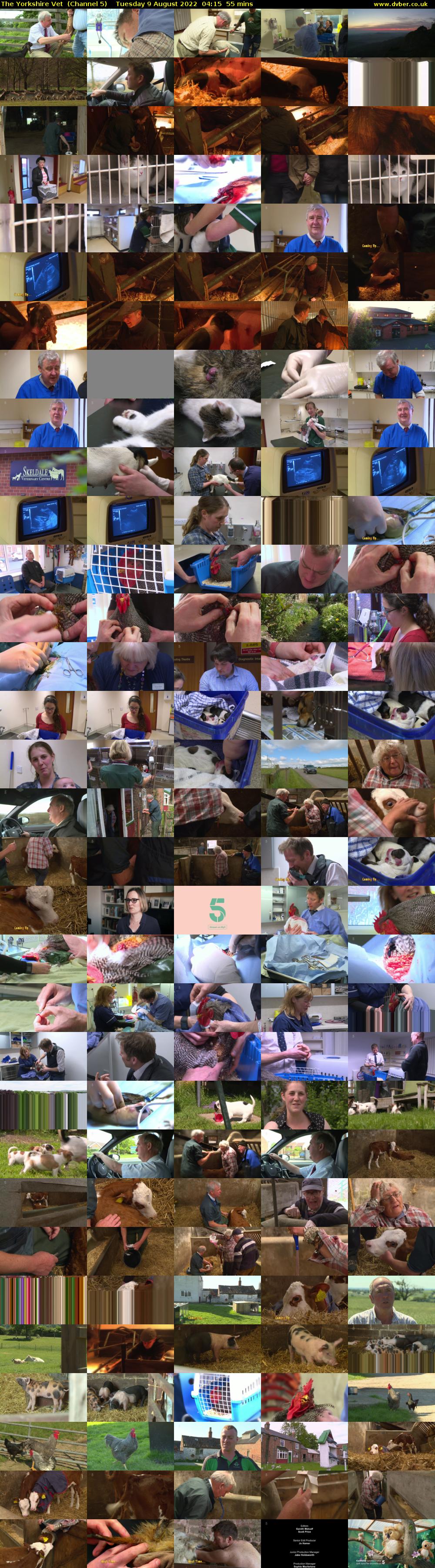 The Yorkshire Vet  (Channel 5) Tuesday 9 August 2022 04:15 - 05:10