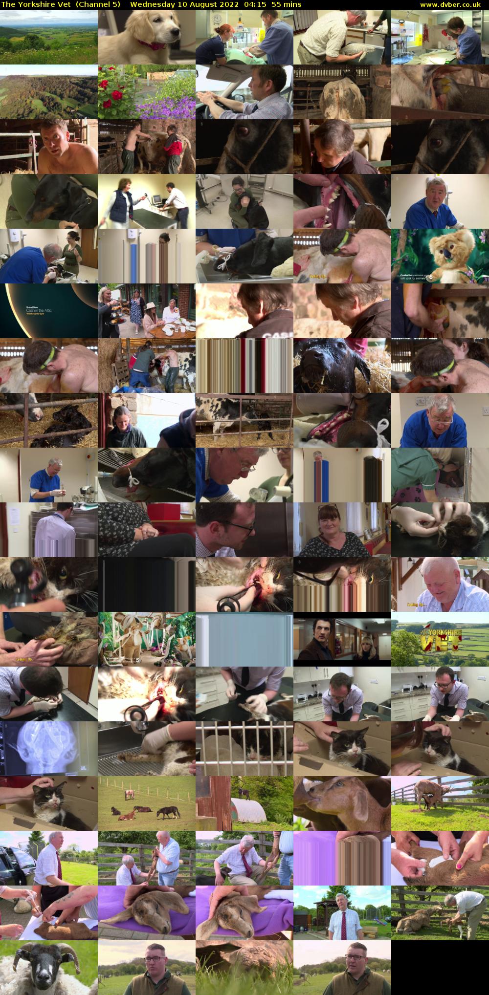 The Yorkshire Vet  (Channel 5) Wednesday 10 August 2022 04:15 - 05:10