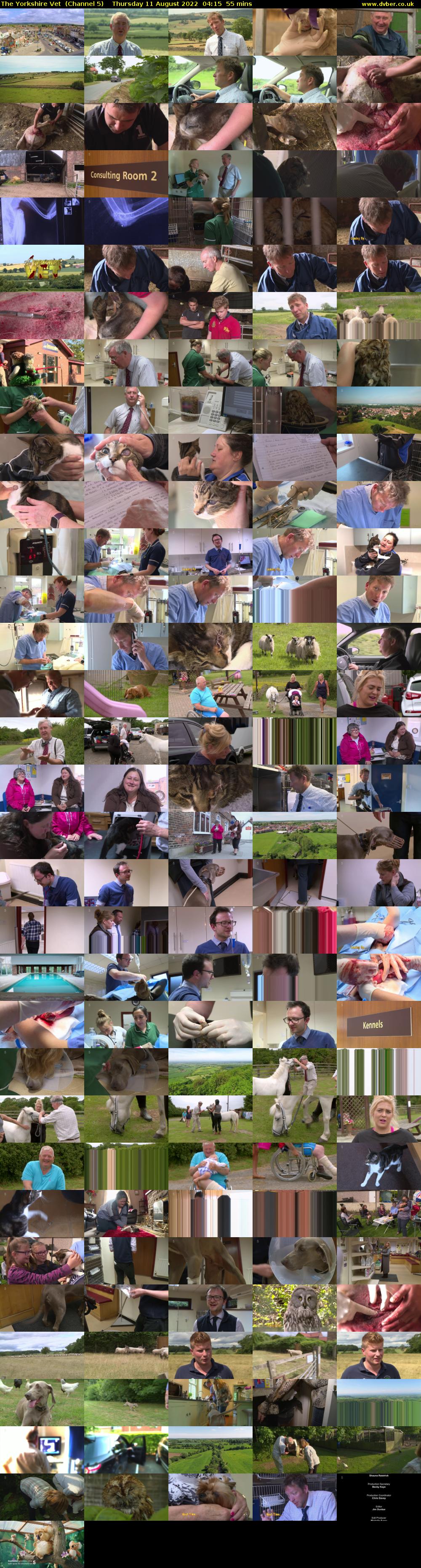 The Yorkshire Vet  (Channel 5) Thursday 11 August 2022 04:15 - 05:10