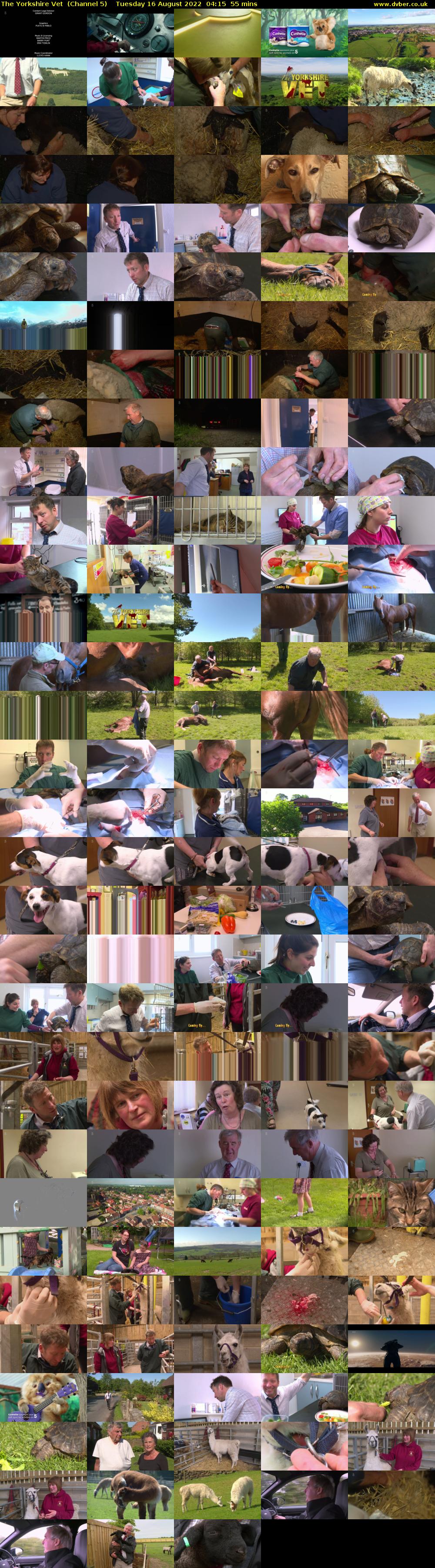 The Yorkshire Vet  (Channel 5) Tuesday 16 August 2022 04:15 - 05:10