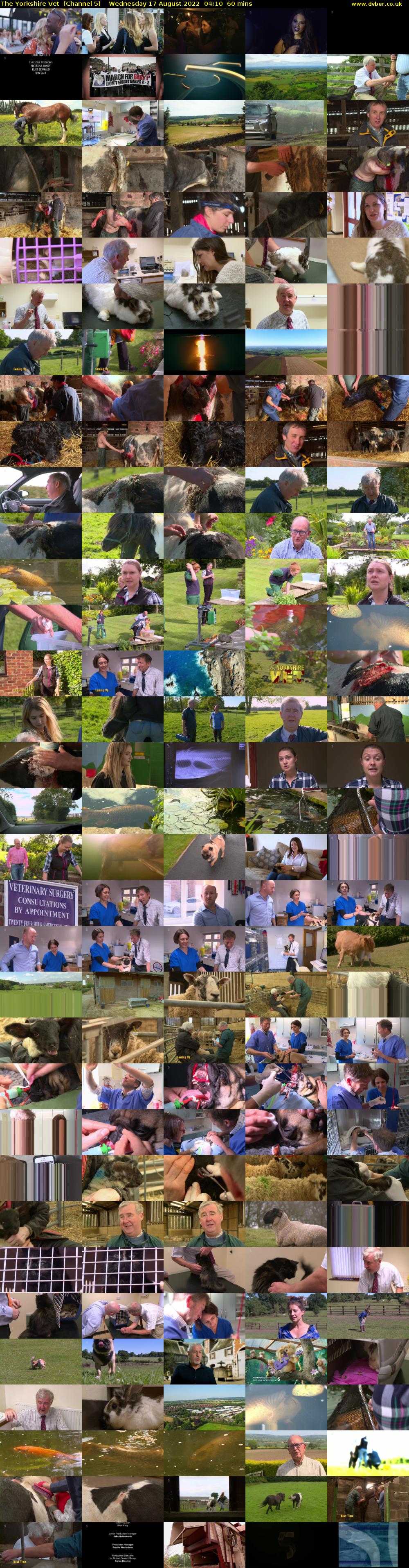 The Yorkshire Vet  (Channel 5) Wednesday 17 August 2022 04:10 - 05:10