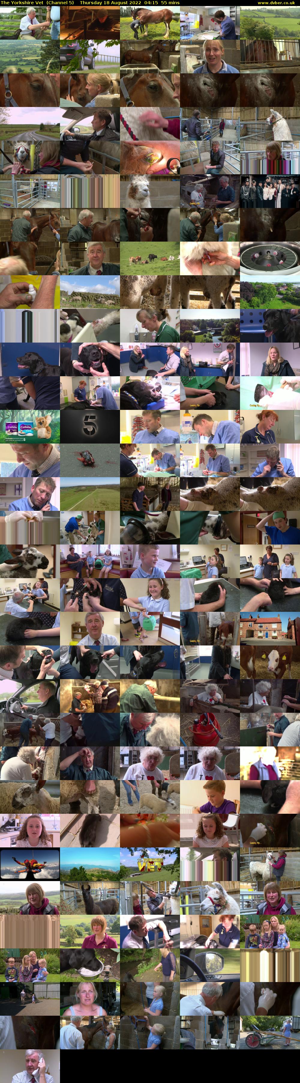 The Yorkshire Vet  (Channel 5) Thursday 18 August 2022 04:15 - 05:10