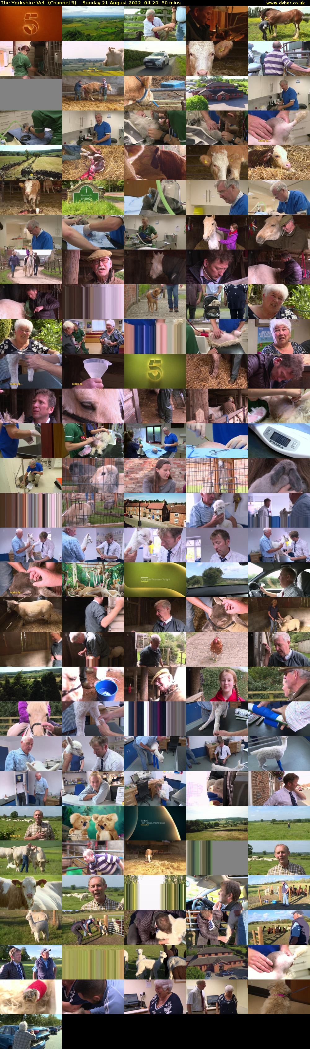 The Yorkshire Vet  (Channel 5) Sunday 21 August 2022 04:20 - 05:10