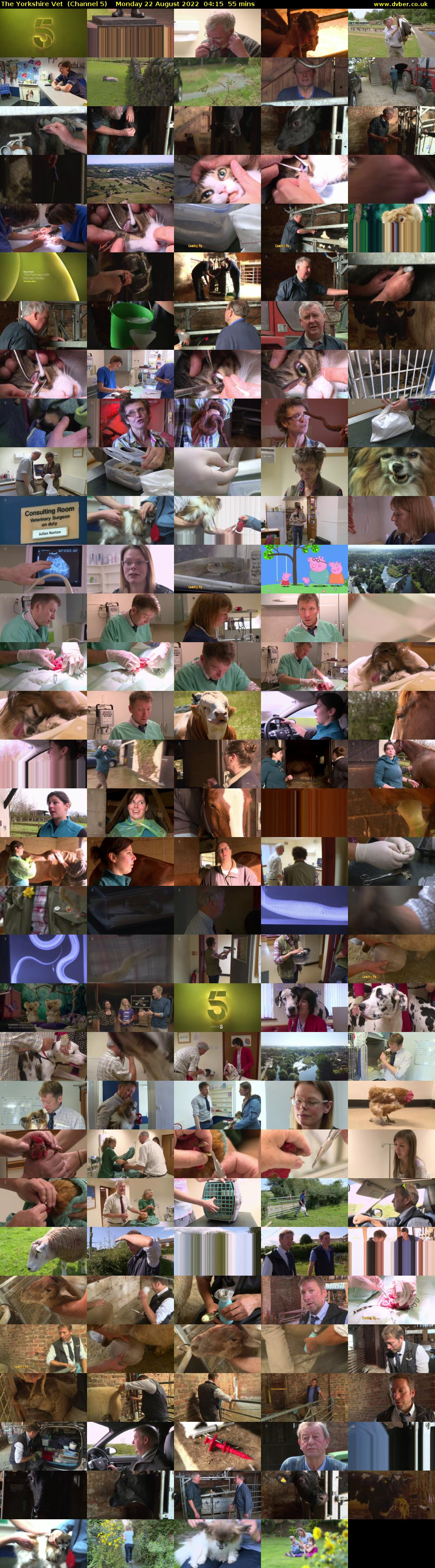 The Yorkshire Vet  (Channel 5) Monday 22 August 2022 04:15 - 05:10