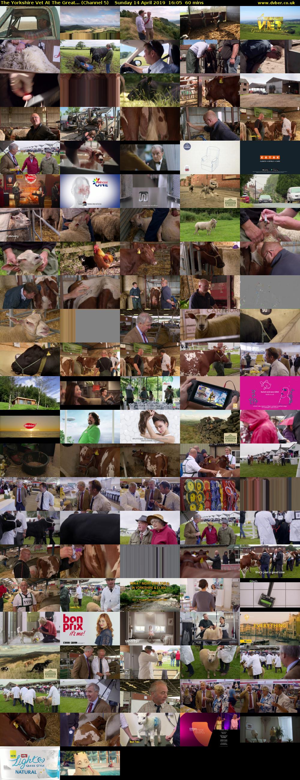 The Yorkshire Vet At The Great... (Channel 5) Sunday 14 April 2019 16:05 - 17:05