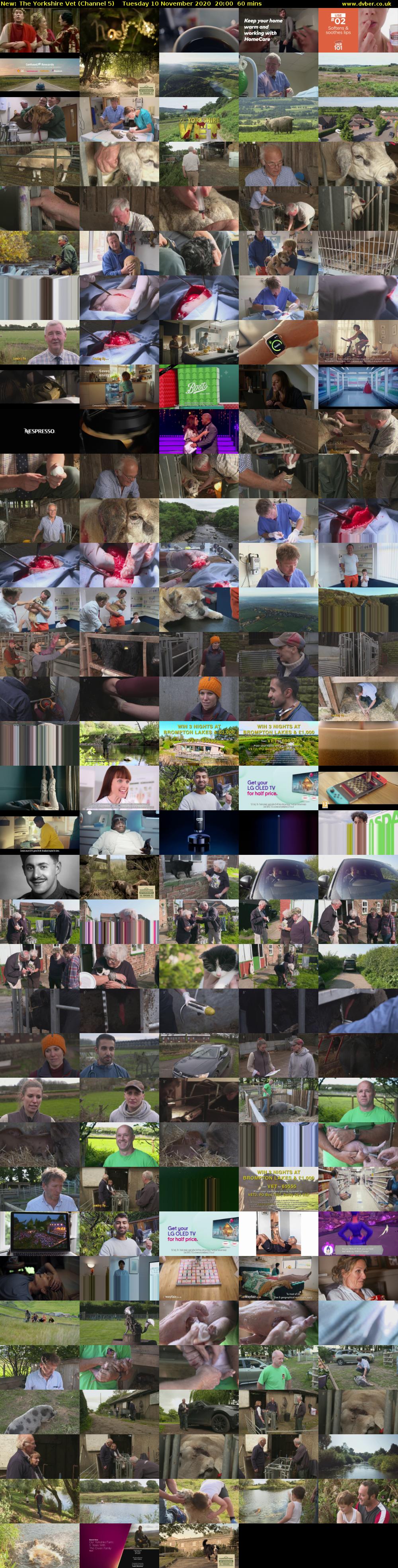 The Yorkshire Vet (Channel 5) Tuesday 10 November 2020 20:00 - 21:00