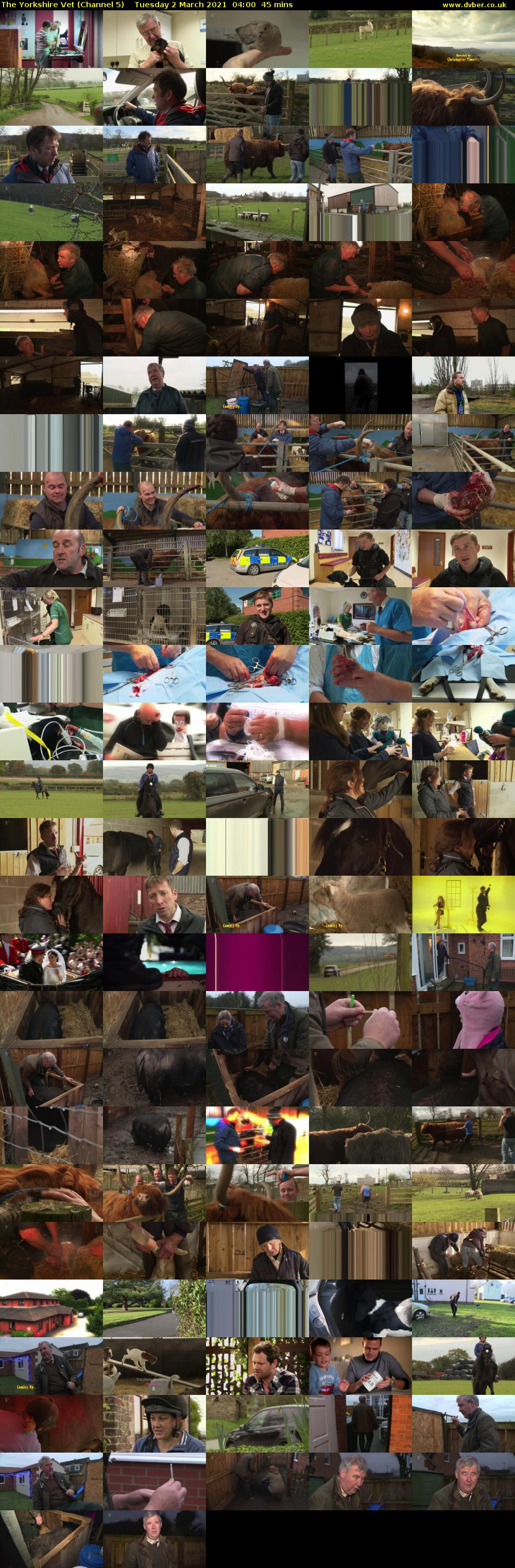 The Yorkshire Vet (Channel 5) Tuesday 2 March 2021 04:00 - 04:45