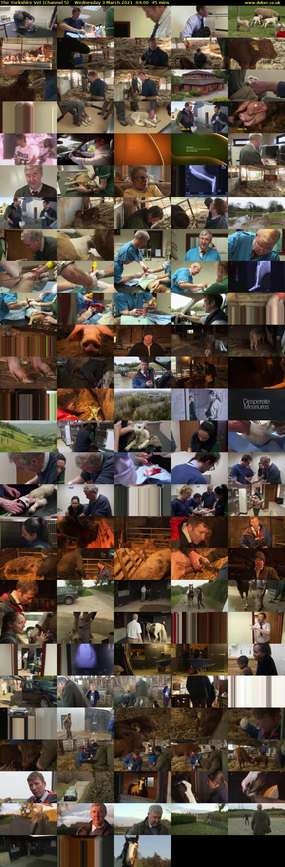 The Yorkshire Vet (Channel 5) Wednesday 3 March 2021 04:00 - 04:45