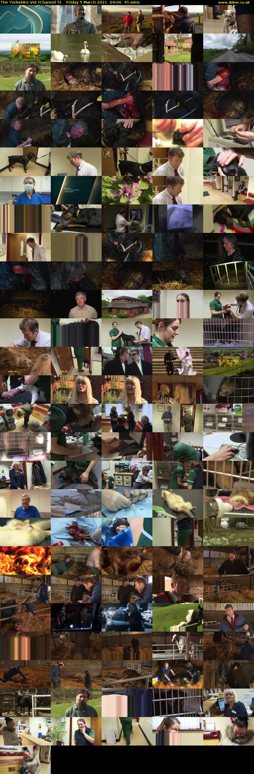 The Yorkshire Vet (Channel 5) Friday 5 March 2021 04:00 - 04:45