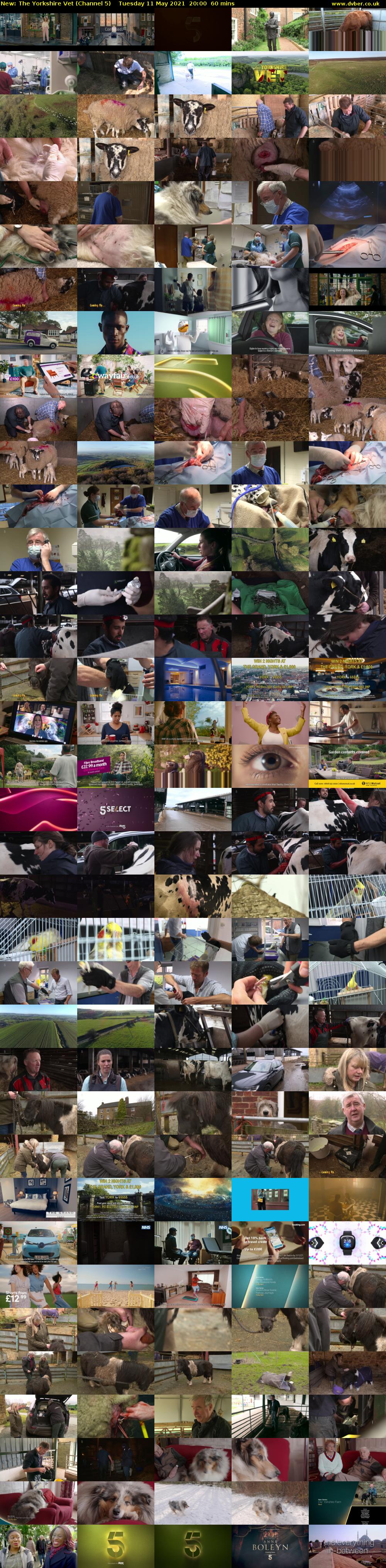 The Yorkshire Vet (Channel 5) Tuesday 11 May 2021 20:00 - 21:00