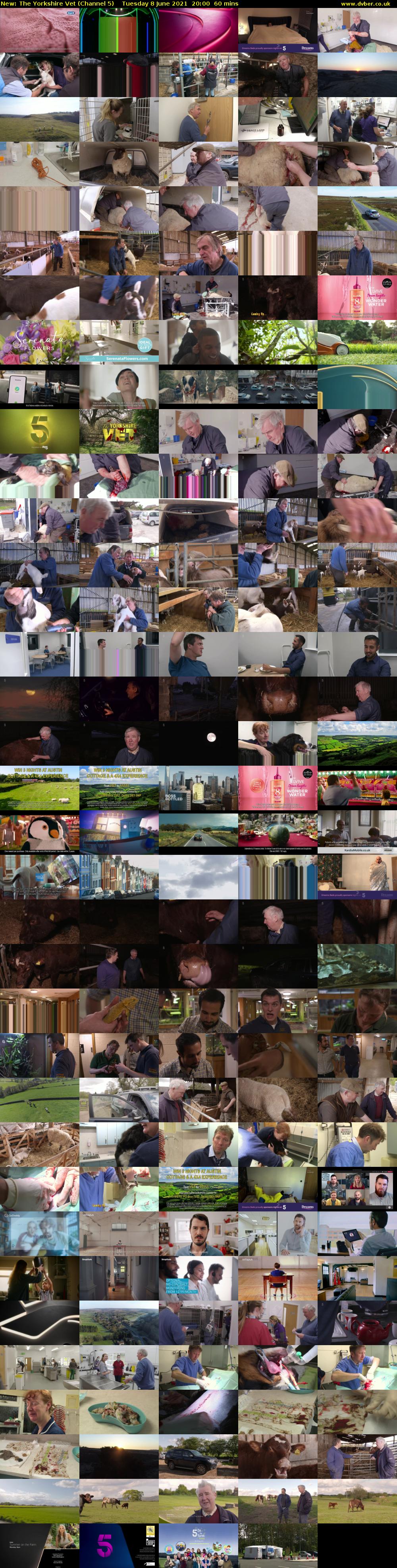 The Yorkshire Vet (Channel 5) Tuesday 8 June 2021 20:00 - 21:00