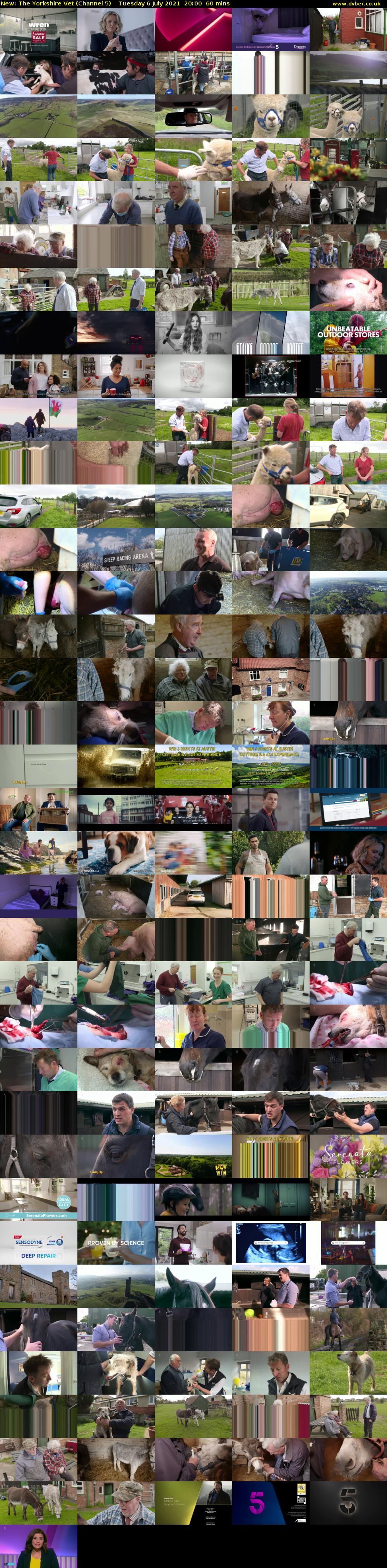 The Yorkshire Vet (Channel 5) Tuesday 6 July 2021 20:00 - 21:00