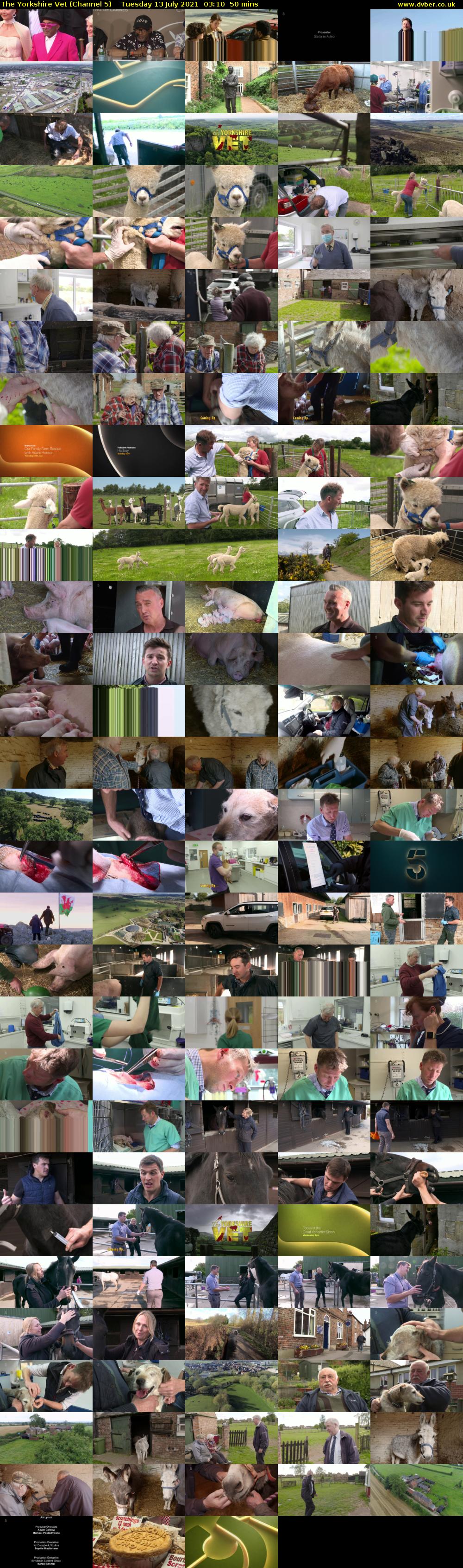 The Yorkshire Vet (Channel 5) Tuesday 13 July 2021 03:10 - 04:00