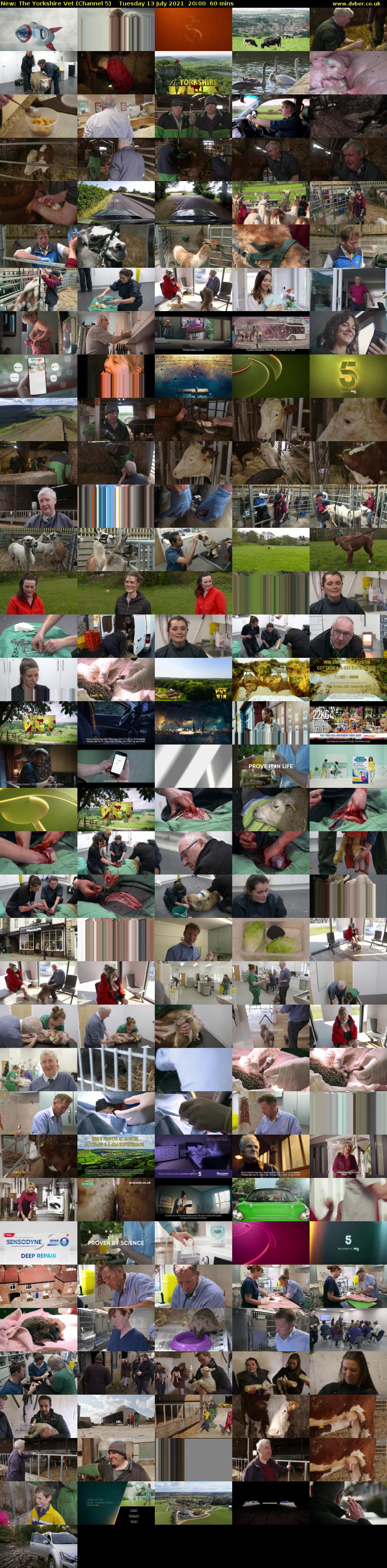 The Yorkshire Vet (Channel 5) Tuesday 13 July 2021 20:00 - 21:00