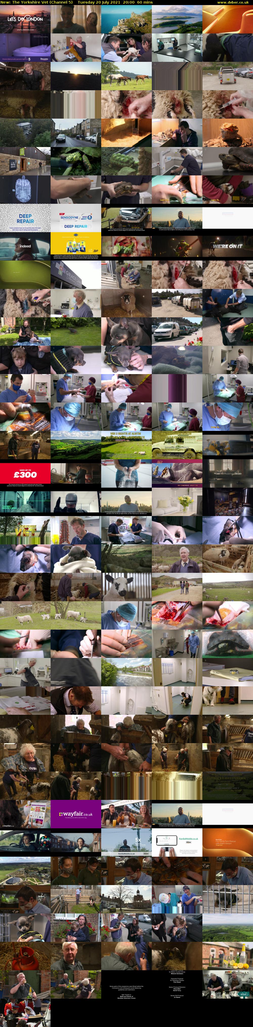 The Yorkshire Vet (Channel 5) Tuesday 20 July 2021 20:00 - 21:00