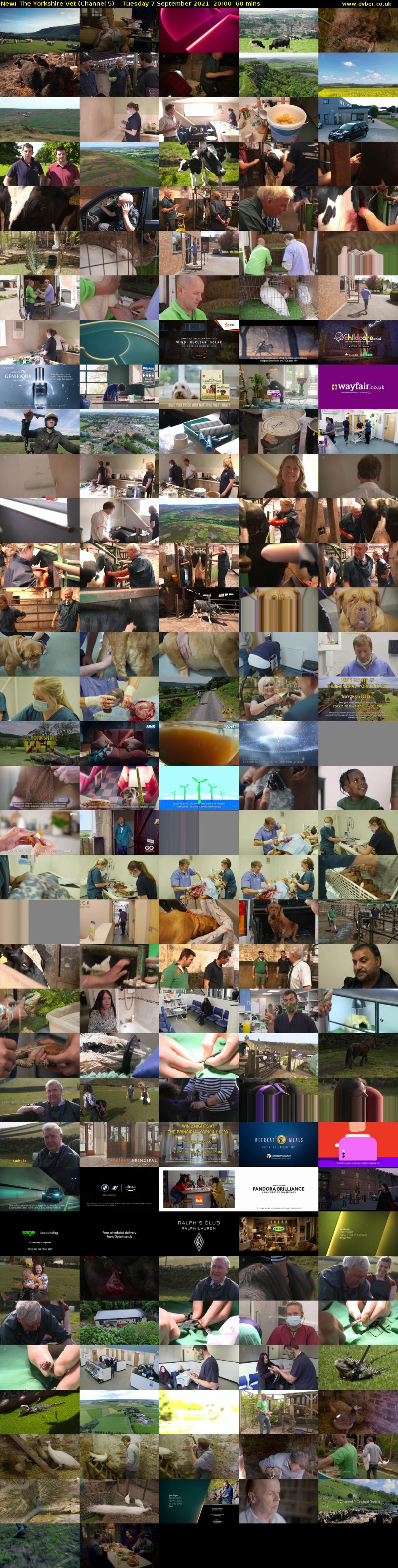 The Yorkshire Vet (Channel 5) Tuesday 7 September 2021 20:00 - 21:00