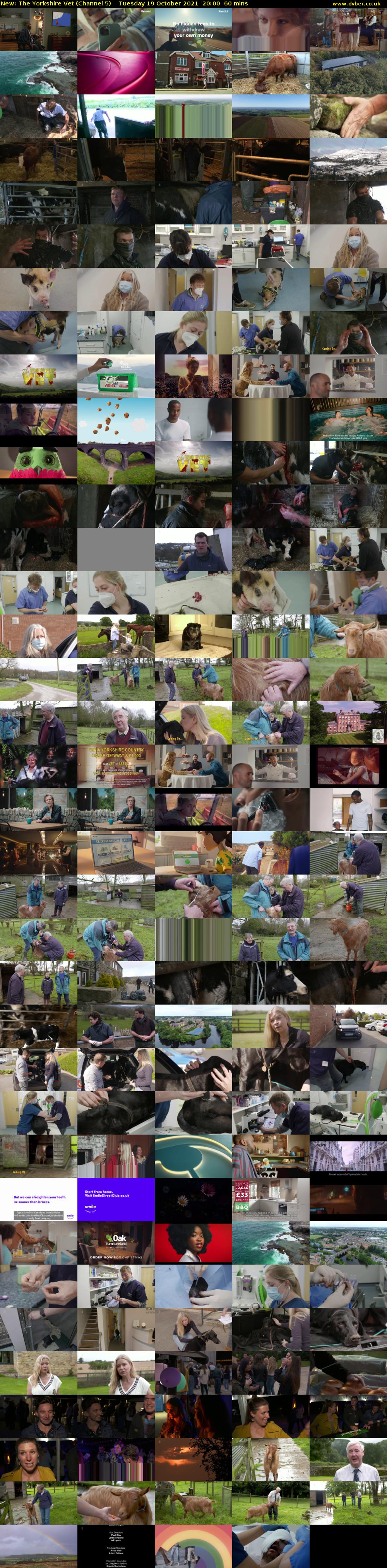 The Yorkshire Vet (Channel 5) Tuesday 19 October 2021 20:00 - 21:00