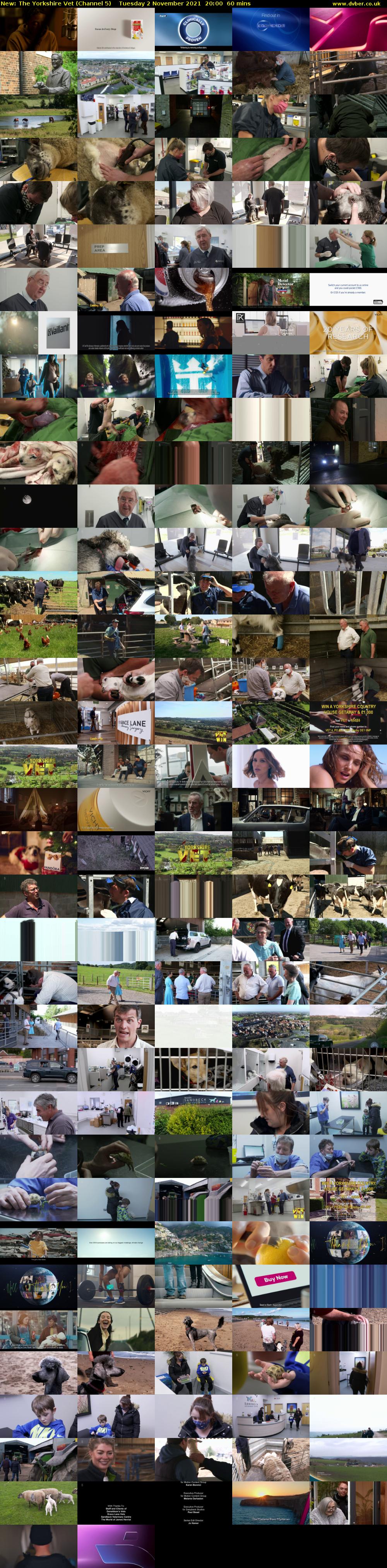 The Yorkshire Vet (Channel 5) Tuesday 2 November 2021 20:00 - 21:00
