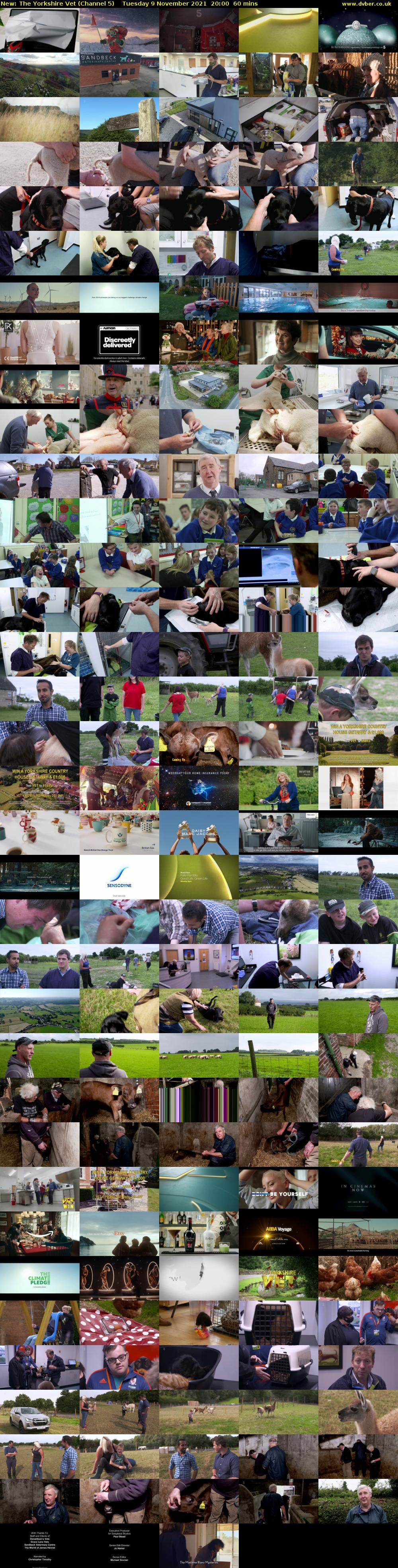 The Yorkshire Vet (Channel 5) Tuesday 9 November 2021 20:00 - 21:00