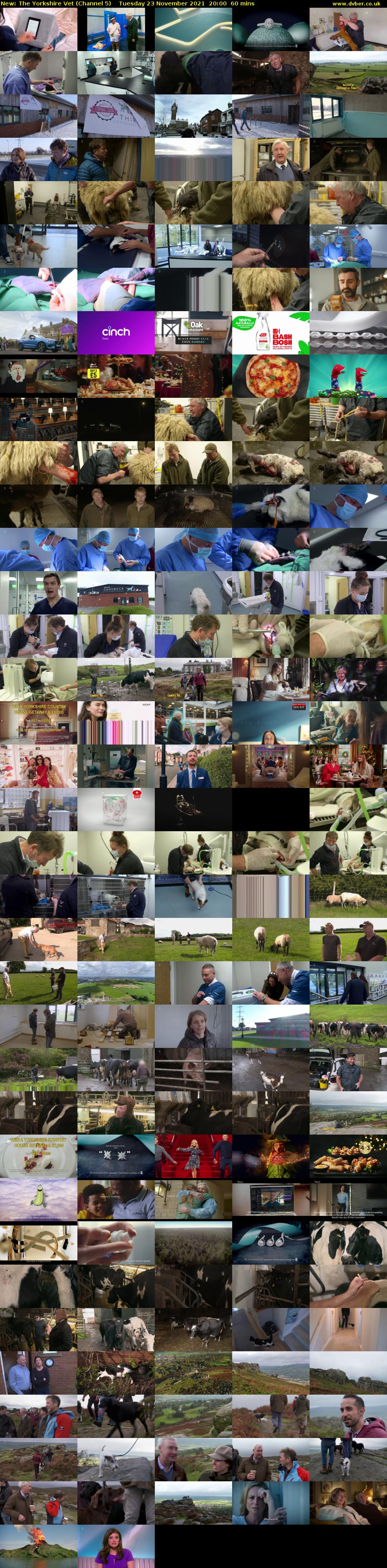 The Yorkshire Vet (Channel 5) Tuesday 23 November 2021 20:00 - 21:00