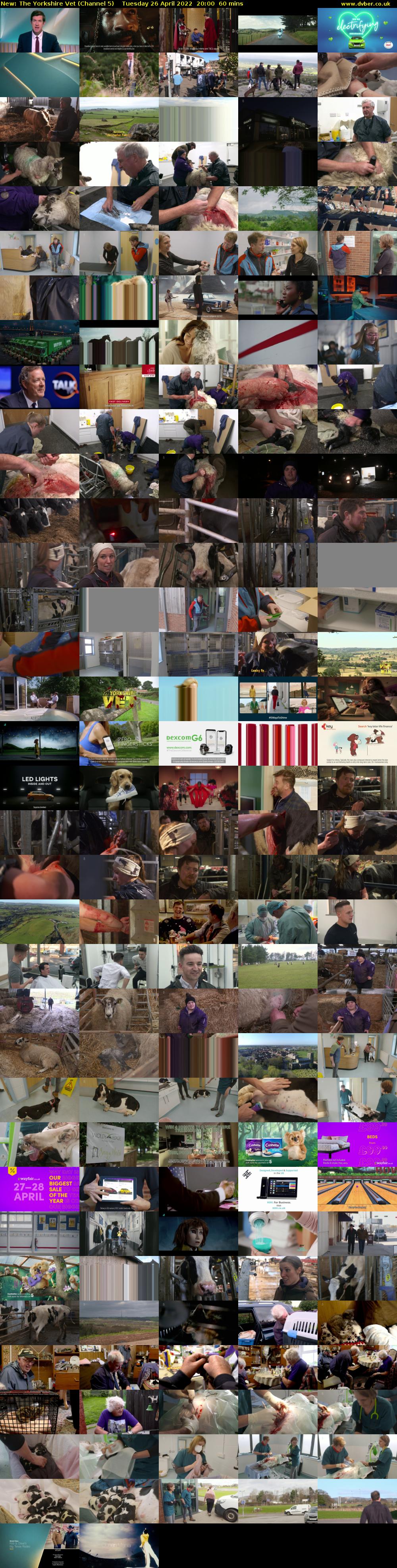 The Yorkshire Vet (Channel 5) Tuesday 26 April 2022 20:00 - 21:00