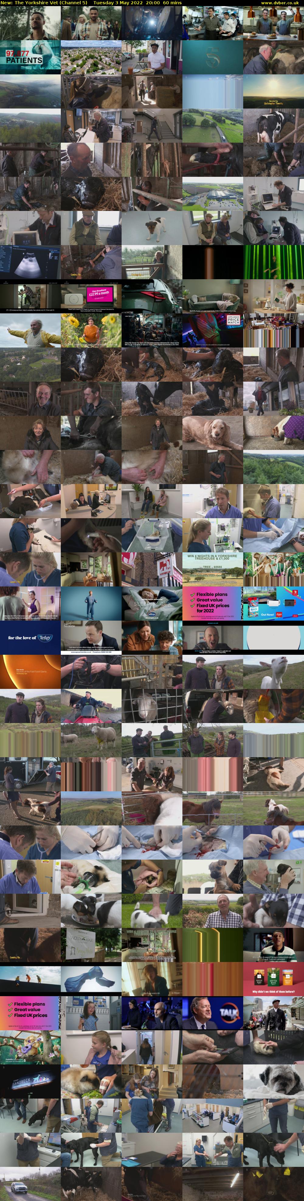 The Yorkshire Vet (Channel 5) Tuesday 3 May 2022 20:00 - 21:00