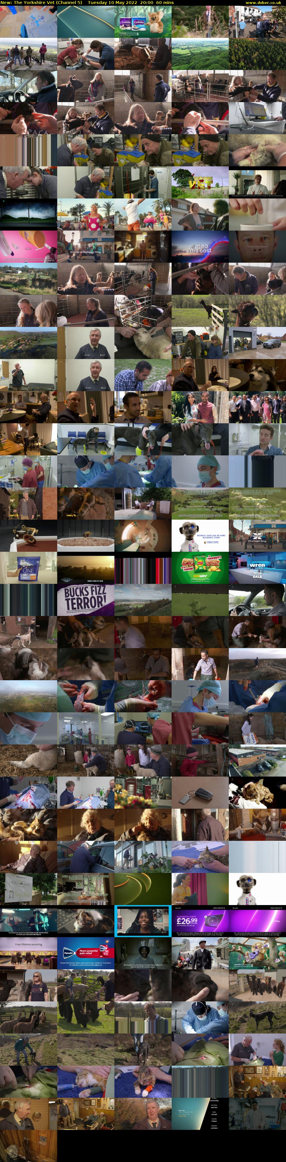 The Yorkshire Vet (Channel 5) Tuesday 10 May 2022 20:00 - 21:00