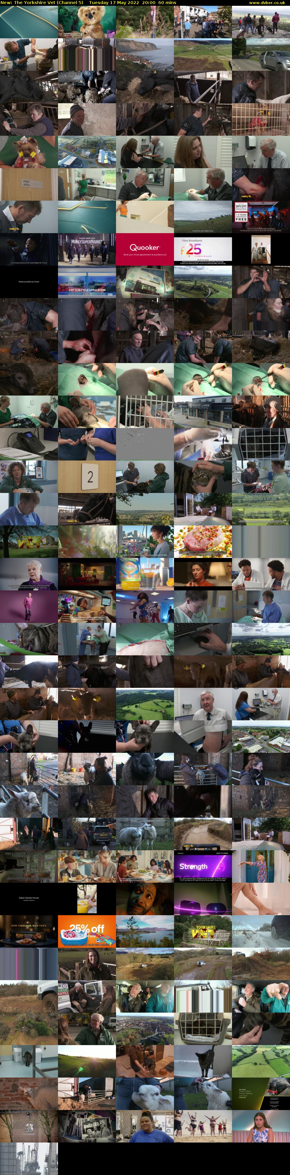 The Yorkshire Vet (Channel 5) Tuesday 17 May 2022 20:00 - 21:00