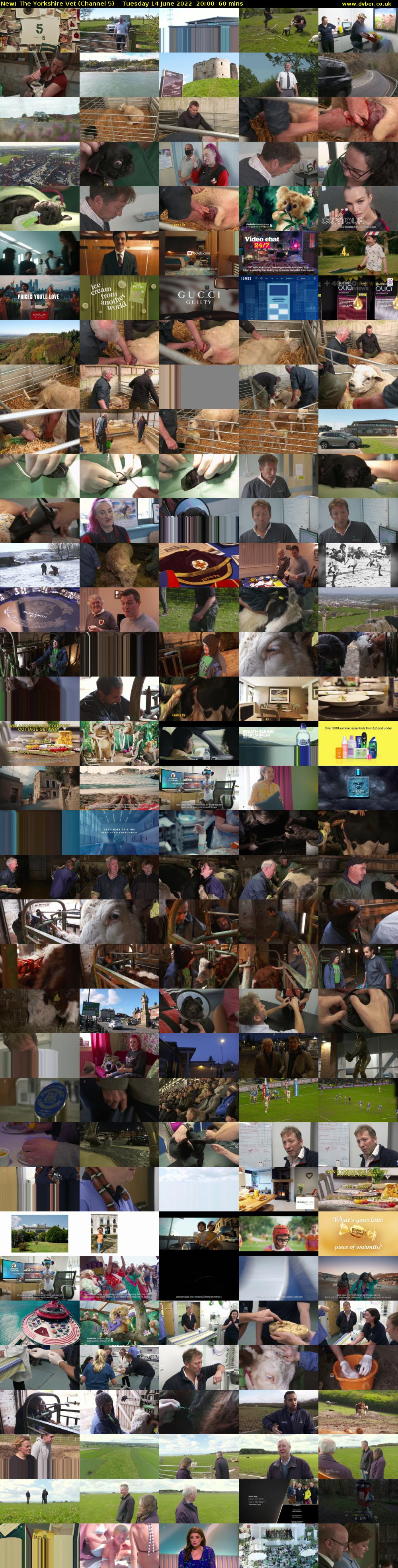 The Yorkshire Vet (Channel 5) Tuesday 14 June 2022 20:00 - 21:00