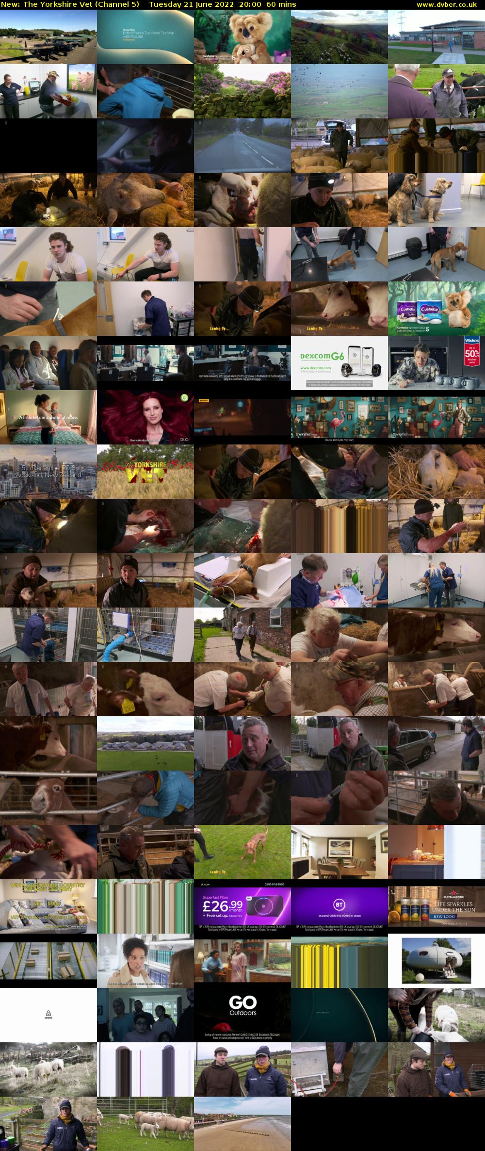 The Yorkshire Vet (Channel 5) Tuesday 21 June 2022 20:00 - 21:00