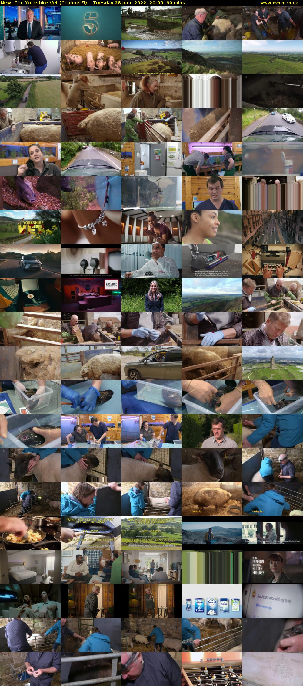 The Yorkshire Vet (Channel 5) Tuesday 28 June 2022 20:00 - 21:00