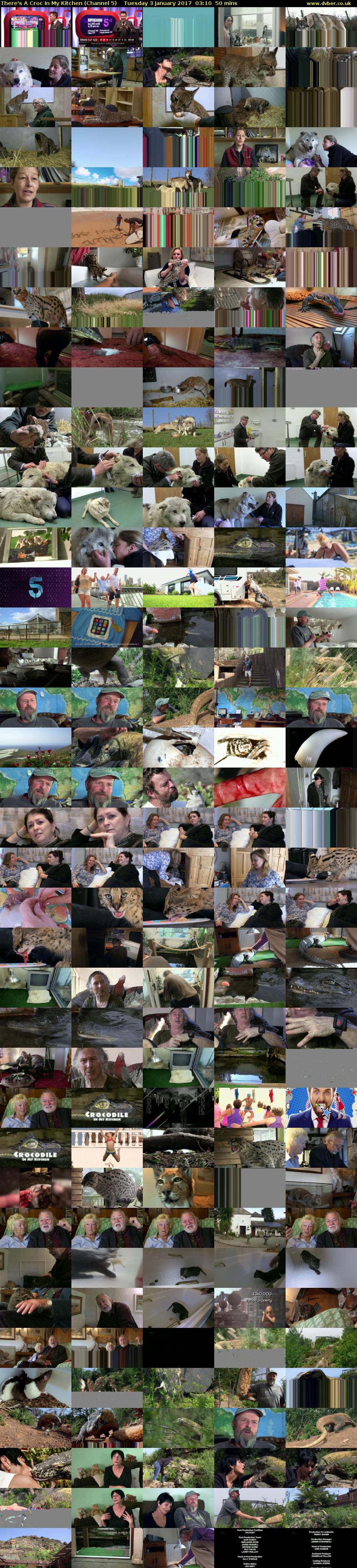 There's A Croc In My Kitchen (Channel 5) Tuesday 3 January 2017 03:10 - 04:00