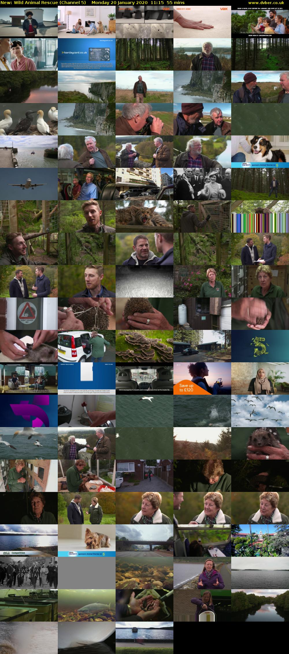 Wild Animal Rescue (Channel 5) Monday 20 January 2020 11:15 - 12:10