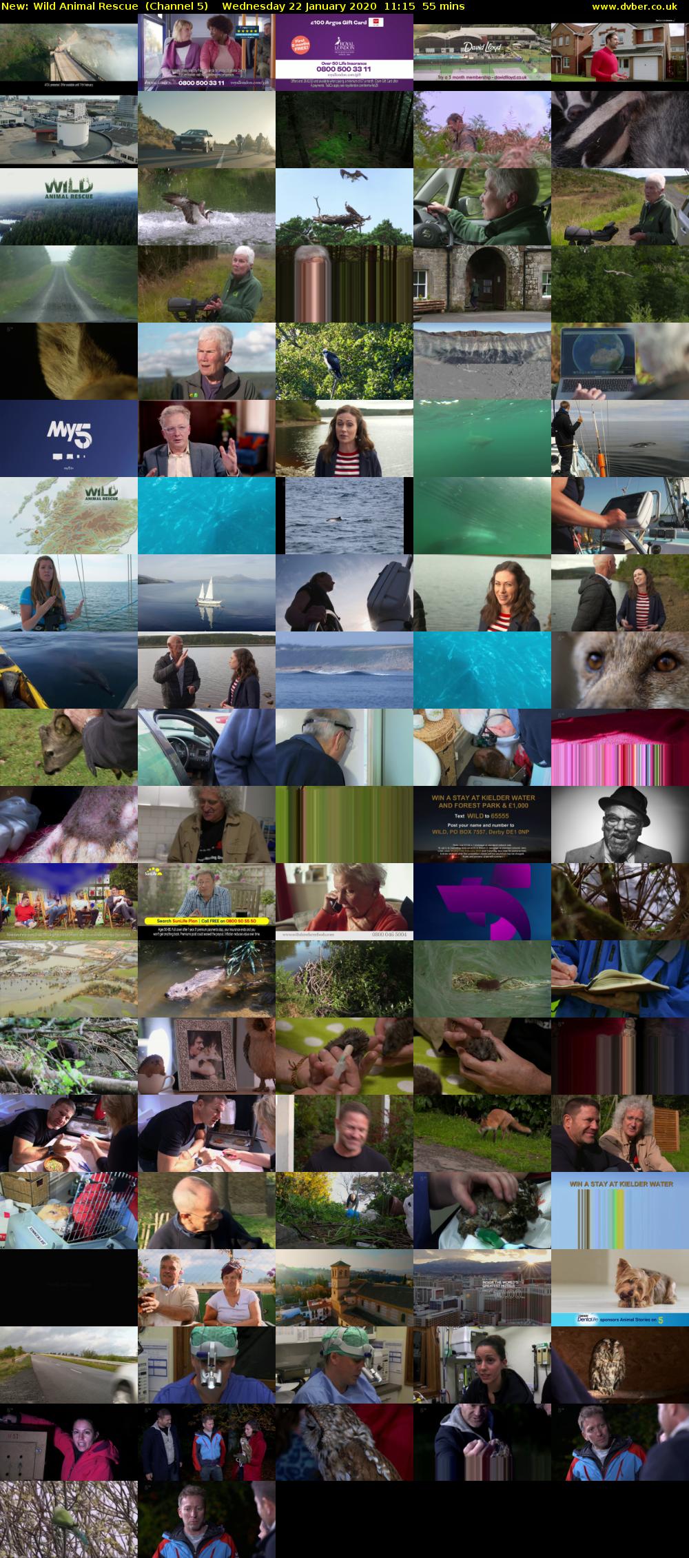 Wild Animal Rescue (Channel 5) Wednesday 22 January 2020 11:15 - 12:10