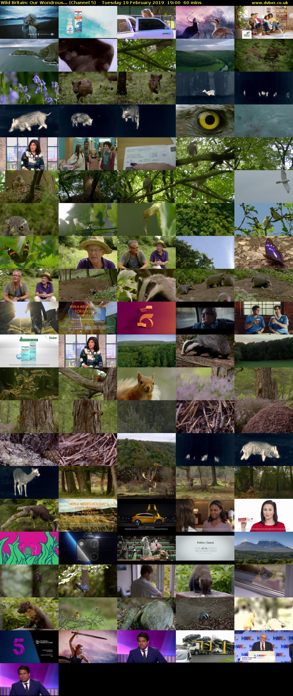 Wild Britain: Our Wondrous... (Channel 5) Tuesday 19 February 2019 19:00 - 20:00