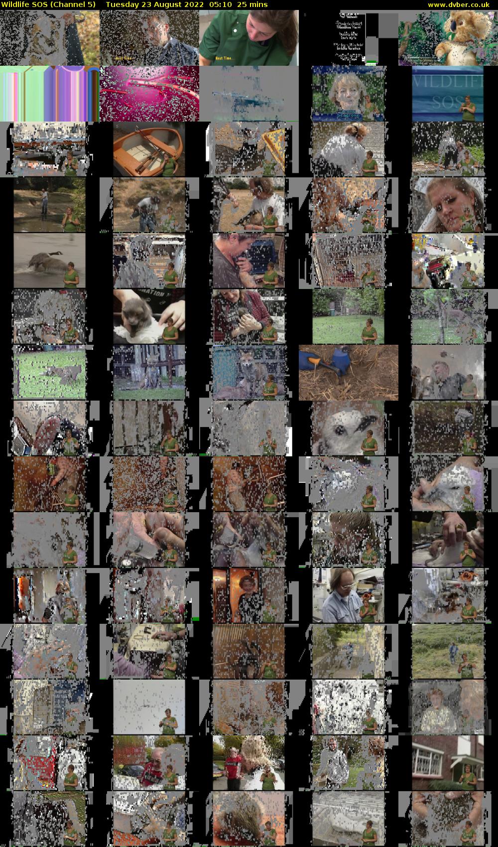 Wildlife SOS (Channel 5) Tuesday 23 August 2022 05:10 - 05:35