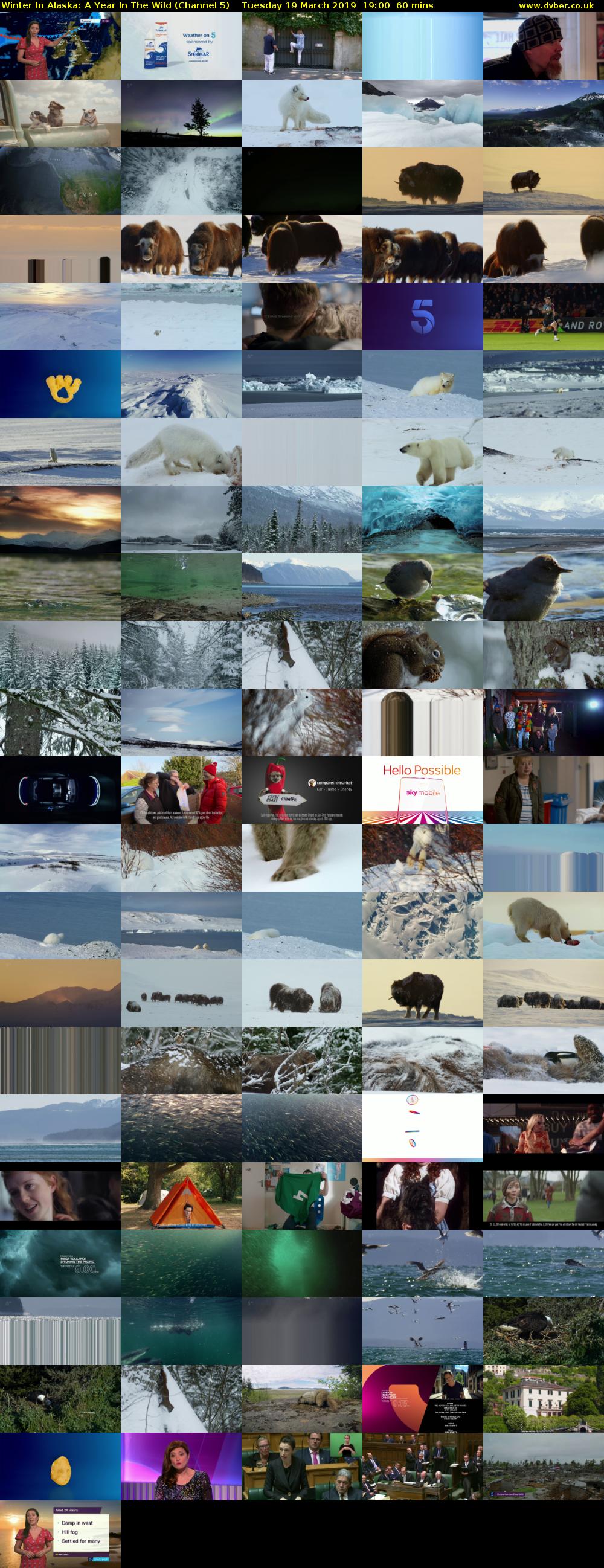 Winter In Alaska: A Year In The Wild (Channel 5) Tuesday 19 March 2019 19:00 - 20:00