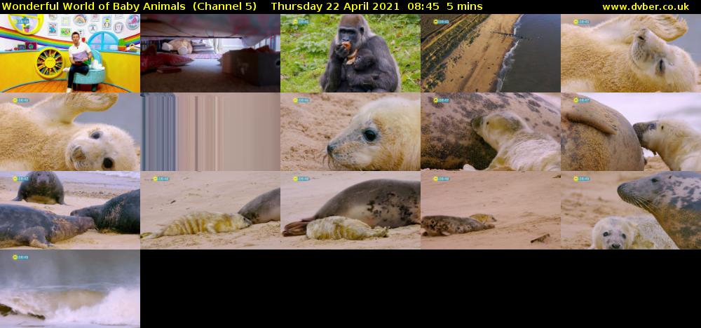 Wonderful World of Baby Animals  (Channel 5) Thursday 22 April 2021 08:45 - 08:50