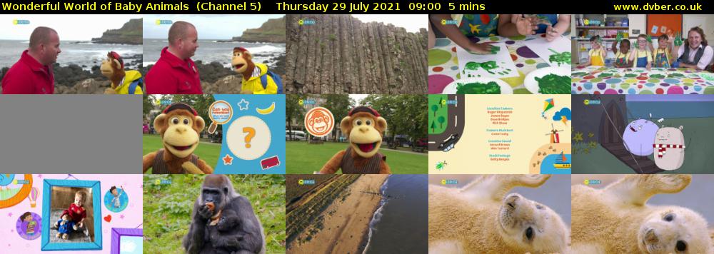 Wonderful World of Baby Animals  (Channel 5) Thursday 29 July 2021 09:00 - 09:05