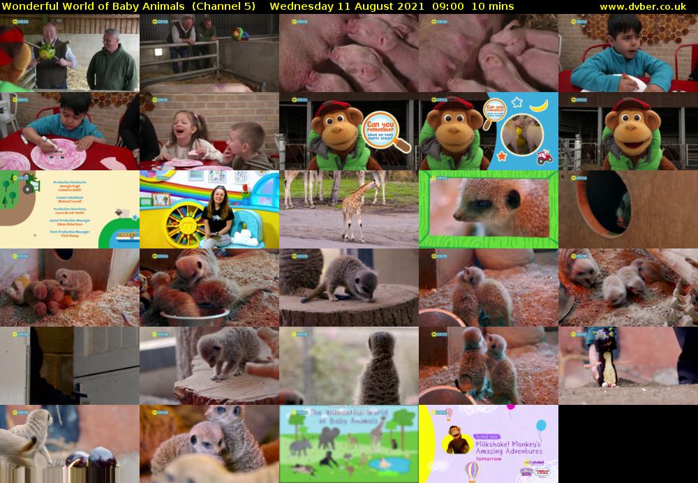 Wonderful World of Baby Animals  (Channel 5) Wednesday 11 August 2021 09:00 - 09:10