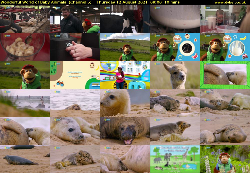 Wonderful World of Baby Animals  (Channel 5) Thursday 12 August 2021 09:00 - 09:10