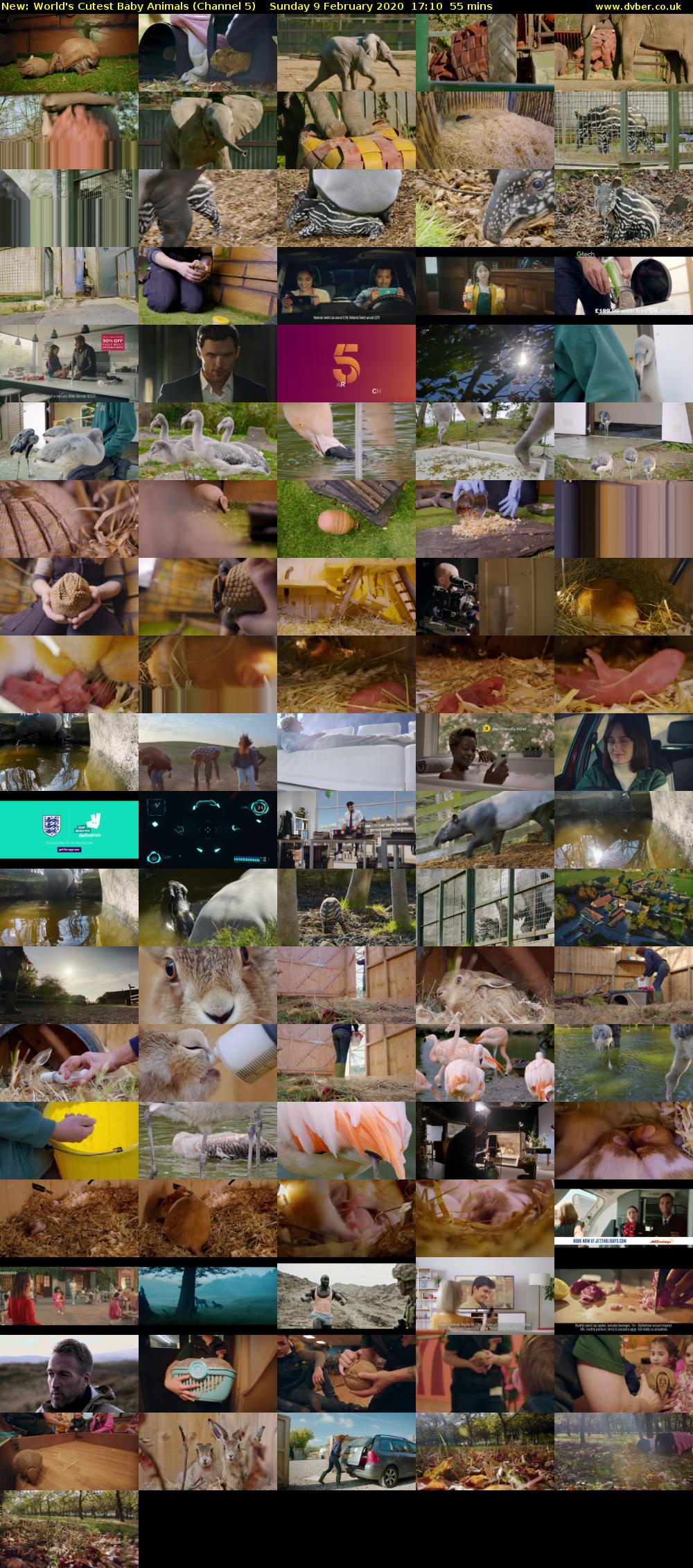 World's Cutest Baby Animals (Channel 5) Sunday 9 February 2020 17:10 - 18:05