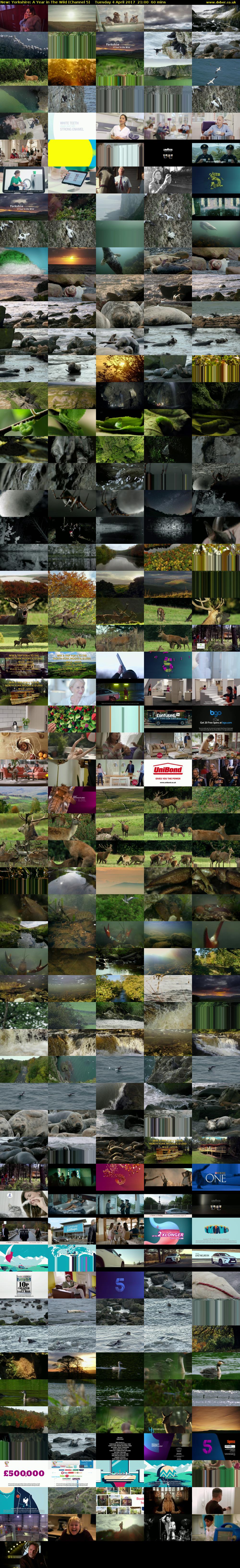 Yorkshire: A Year in The Wild (Channel 5) Tuesday 4 April 2017 21:00 - 22:00