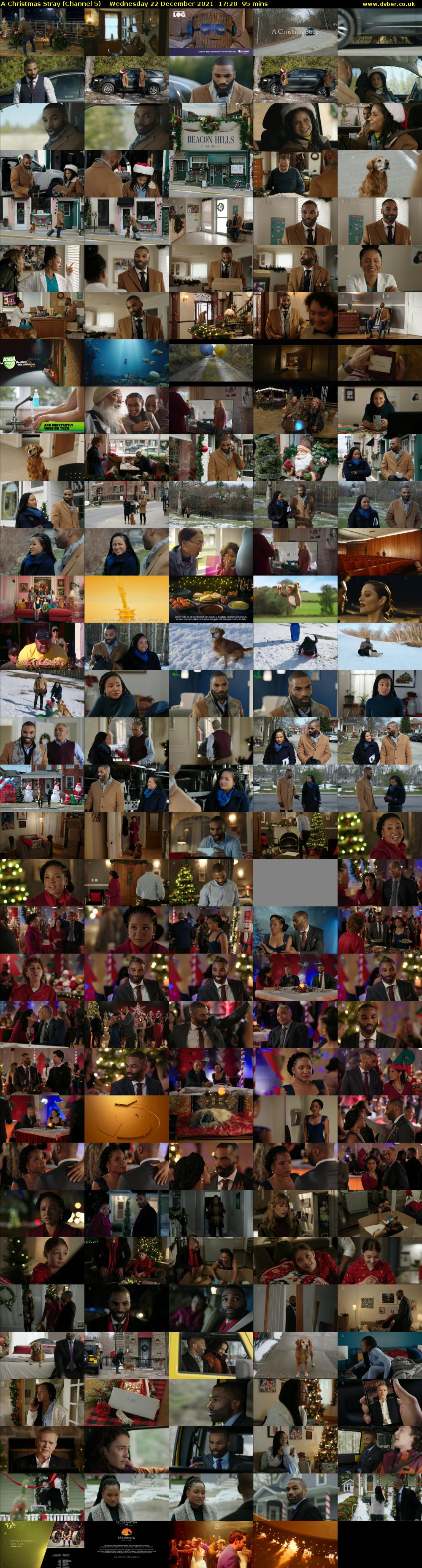 A Christmas Stray (Channel 5) Wednesday 22 December 2021 17:20 - 18:55