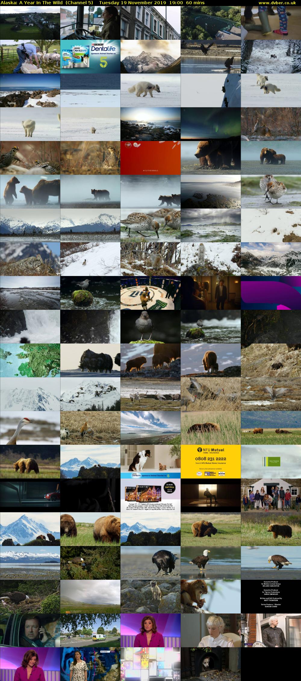 Alaska: A Year In The Wild  (Channel 5) Tuesday 19 November 2019 19:00 - 20:00
