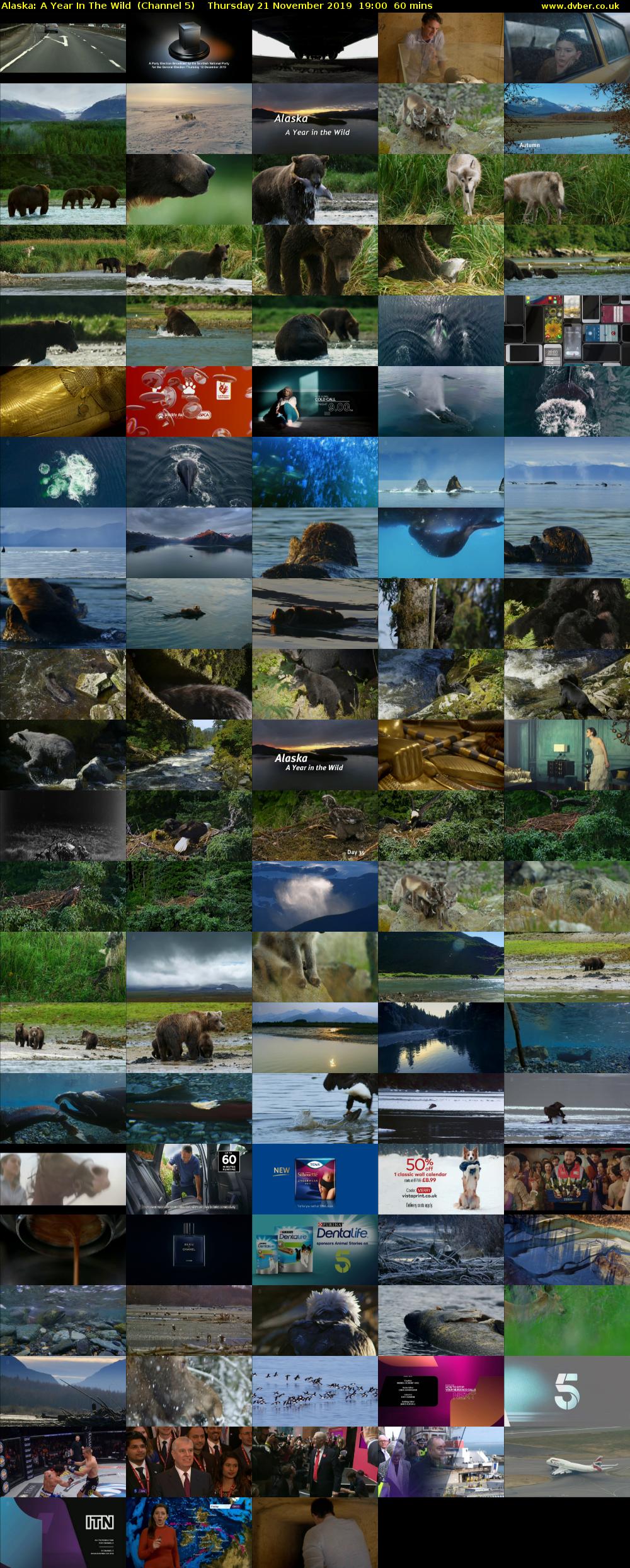 Alaska: A Year In The Wild  (Channel 5) Thursday 21 November 2019 19:00 - 20:00