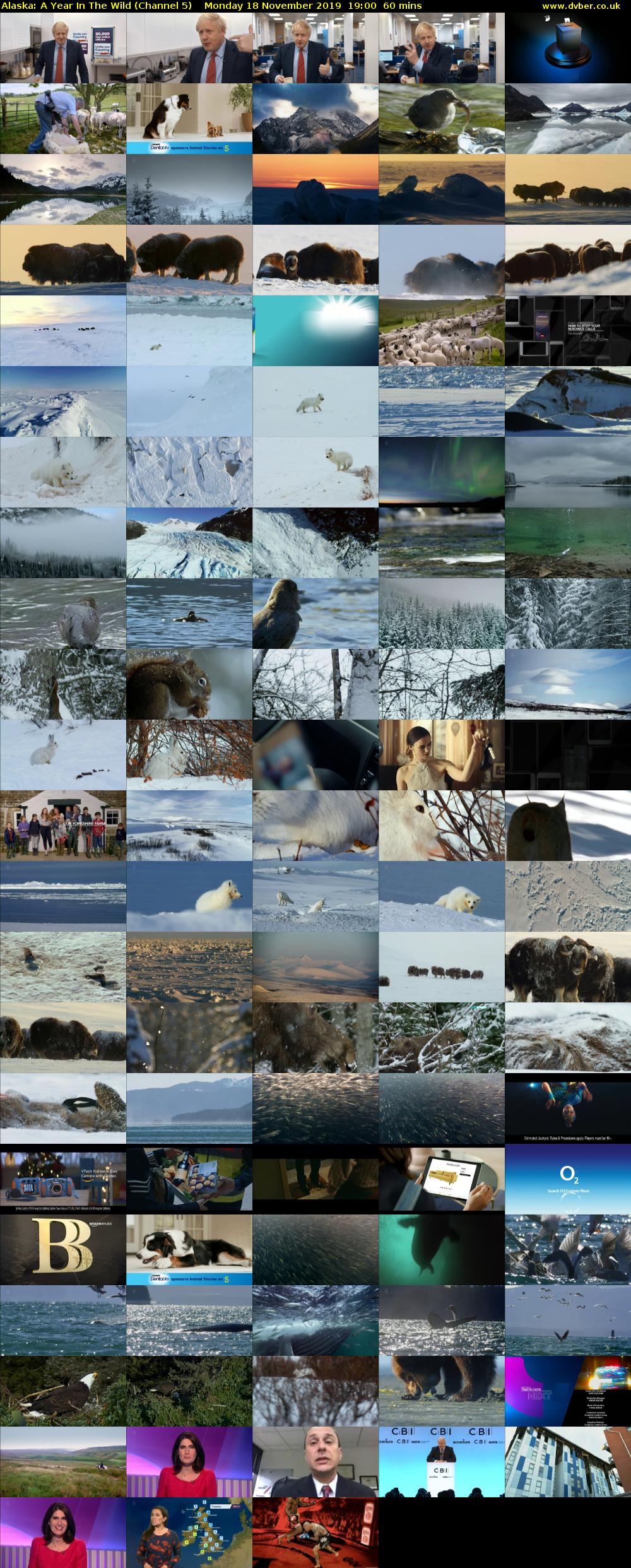 Alaska: A Year In The Wild (Channel 5) Monday 18 November 2019 19:00 - 20:00