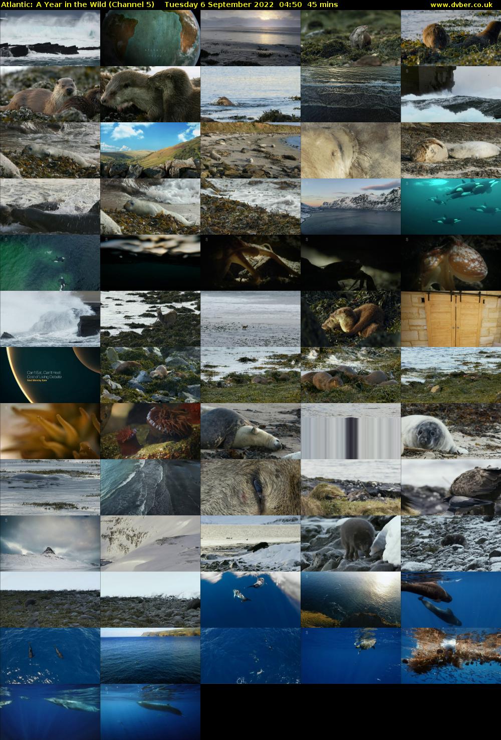 Atlantic: A Year in the Wild (Channel 5) Tuesday 6 September 2022 04:50 - 05:35